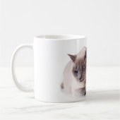 Mug cat and hedgehog (Gauche)