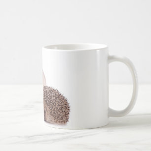 Mug cat and hedgehog