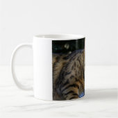 Mug Cat du Bengale (Gauche)