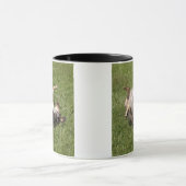 Mug Catahoula Leopard Chien Roulant dans l'herbe (Centre)