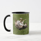 Mug Catahoula Leopard Chien Roulant dans l'herbe (Gauche)
