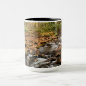 Mug Cataloochee Creek NC Great Smoky Mountains (Centre)