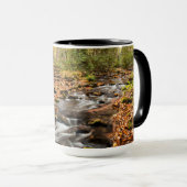 Mug Cataloochee Creek NC Great Smoky Mountains (Devant droit)