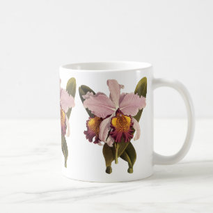 Mug Cattleya Orchidée Violette Vintage, Fleurs Tropica
