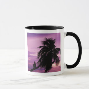 Mug Caye Ambergris, Belize, Amérique centrale.