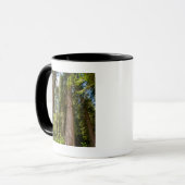 Mug Cèdres rouges de l'Ouest (Devant gauche)