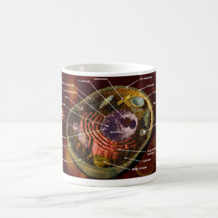 Mug Cellule animale