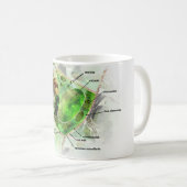 Mug cellule de plante (Devant droit)