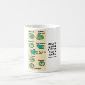 Mug Cellules innées de système immunitaire à (Centre)