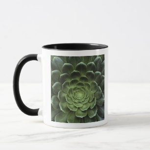 Mug Centre de cactus
