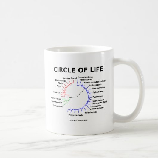 Mug Cercle de la vie (arbre phylogénétique circulaire) (Droite)