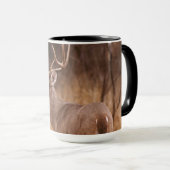 Mug Cerf à queue blanche | Choke Canyon State Park, T (Devant droit)