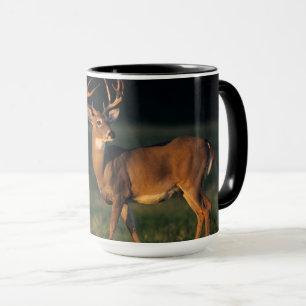 Mug Cerf à queue blanche   Choke Canyon State Park, TX