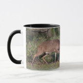 Mug Cerf à queue blanche combattant un dindon sauvage (Gauche)