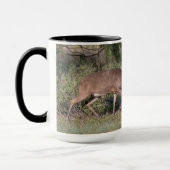 Mug Cerf à queue blanche combattant un dindon sauvage (Gauche)
