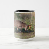 Mug Cerf à queue blanche combattant un dindon sauvage (Centre)