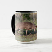 Mug Cerf à queue blanche combattant un dindon sauvage (Devant gauche)