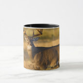 Mug Cerf à queue blanche | Sud du Texas (Centre)