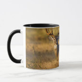 Mug Cerf à queue blanche | Sud du Texas (Gauche)
