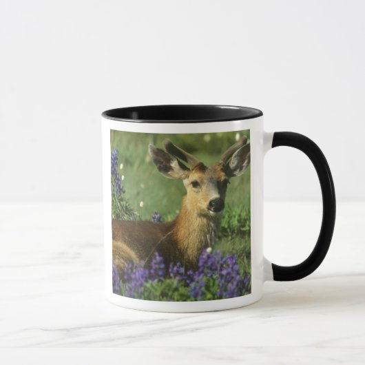 Mug Cerf à queue noire, Odocoileus hemionus (Droite)