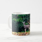 Mug Cerf dans la forêt, Oregon (Devant gauche)