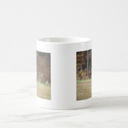 Mug Cerf d'automne dans le lac Arrowhead (Centre)