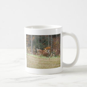 Mug Cerf d'automne dans le lac Arrowhead