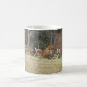 Mug Cerf d'automne dans le lac Arrowhead (Centre)