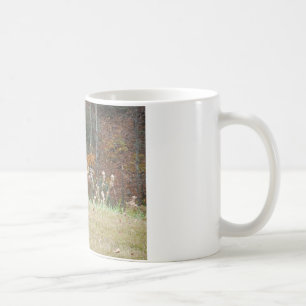 Mug Cerf d'automne dans le lac Arrowhead