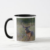 Mug cerf de Virginie Odocoileus virginianus (Gauche)