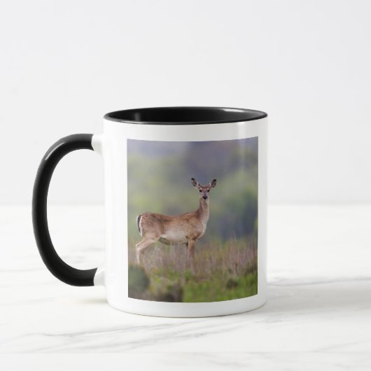 Mug Cerfs communs Blanc-Coupés la queue (Gauche)