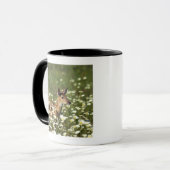 Mug cerfs communs Blanc-coupés la queue dans le (Devant gauche)