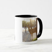 Mug Cerfs communs dans la ville (Devant droit)