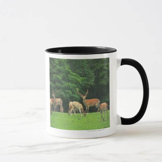 Mug Cerfs communs de Sika se tenant dans une clairière (Droite)