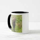 Mug Cerfs communs d'Ezo (Devant gauche)