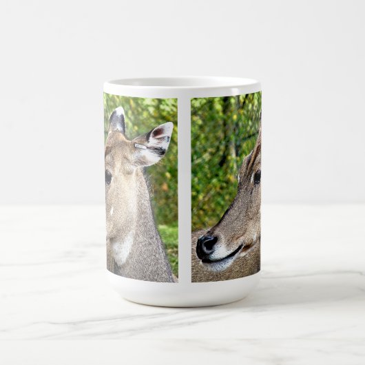 MUG CERVEAU (Centre)