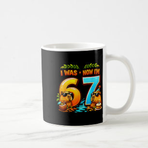 Mug C'était mon anniversaire 6 7 67 mème capybara enfa