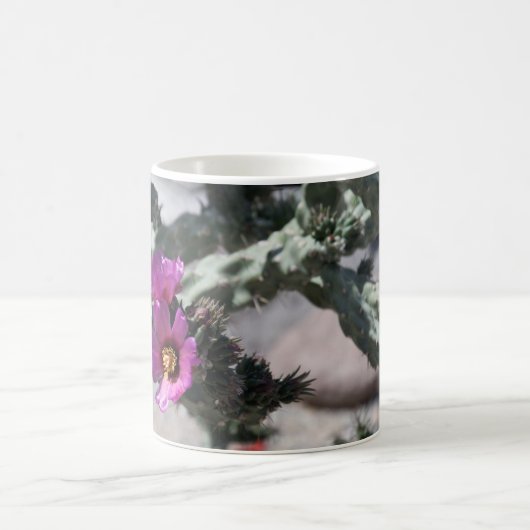 Mug Challa Cactus en fleurs (Centre)