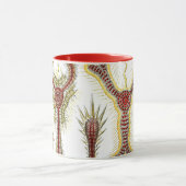 Mug Chamomile sauvage par Ernst Haeckel, Nature Vintag (Centre)