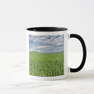 Mug Champ de blé et allée bordée de cyprès majestueux
