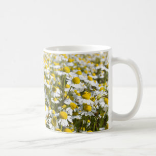 Mug Champ de camomille, Hongrie