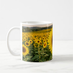 Mug Champ de tournesols