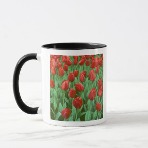 Mug Champ de tulipes en fleurs au printemps.