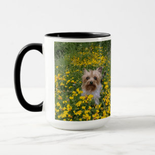 Mug champ de Yorkshire Terrier