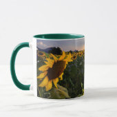 Mug Champ des tournesols de floraison (Gauche)