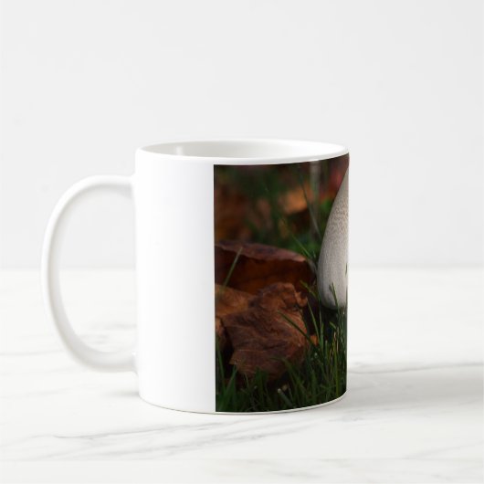 Mug Champignons de campagne dans une forêt (Gauche)