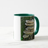 Mug Champignons de plateau sur souche (Devant droit)