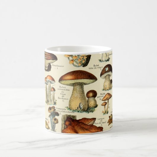 Mug Champignons et champignons vintages (Centre)