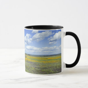 Mug Champs dans le printemps près de Guadalupe