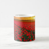 Mug Champs de tulipe au coucher du soleil dans (Centre)